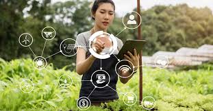  Revolutionizing Agriculture: Top 10 Smart Farms