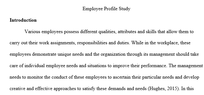 Employee Profile Study