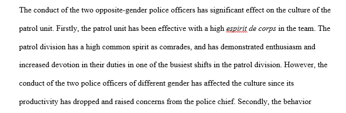 Opposite gender police partners affect the culture of the patrol unit