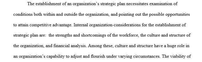 Organizational considerations for the development of a strategic plan