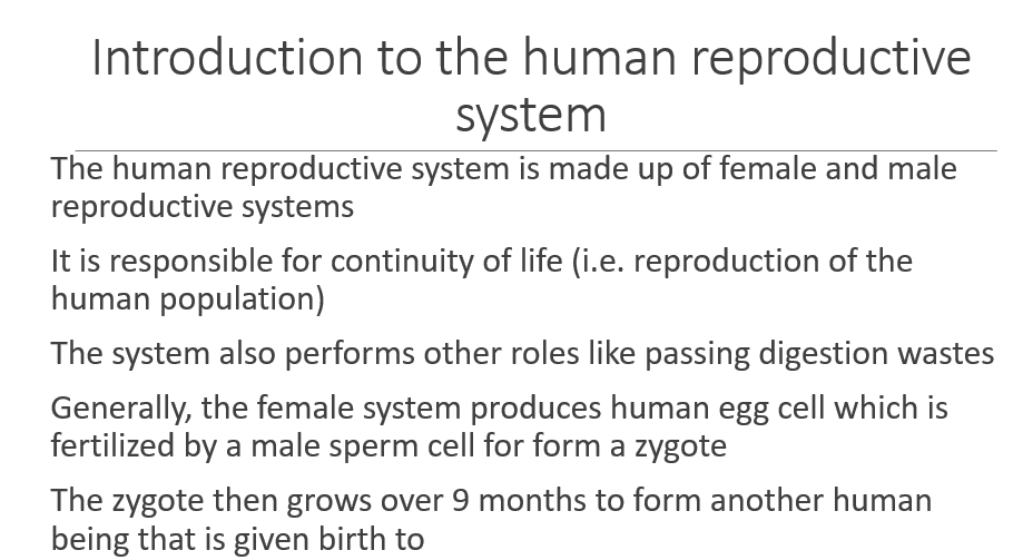  PowerPoint presentation about human reproduction.