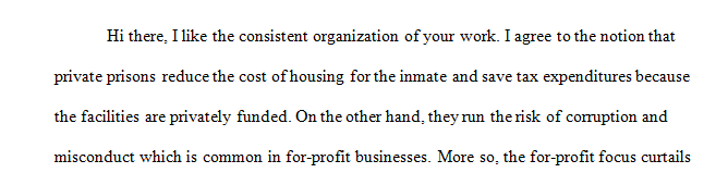 What are some of the advantages and disadvantages of prison privatization?