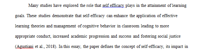 Self-Efficacy Essay