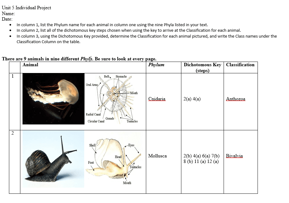 Taxonomic classifications based on differences and similarities of their traits