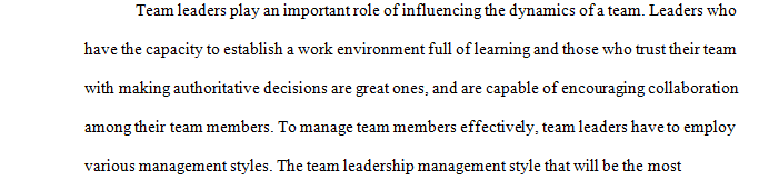 Team Leadership/Management Style 