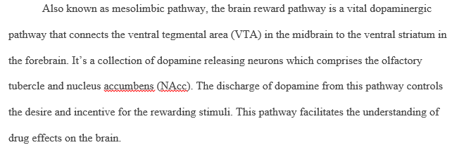 Brain reward pathway
