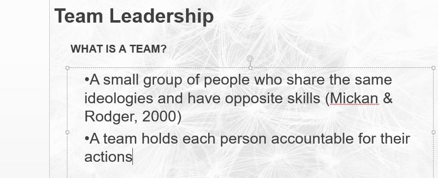 Team Leadership