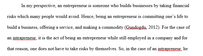 Entrepreneur vs. Intrapreneur Analysis