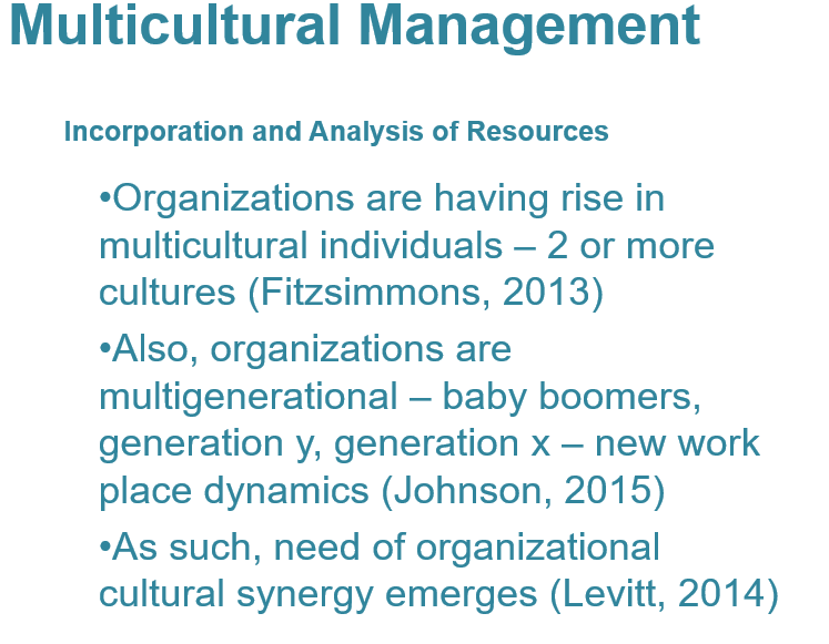 Multicultural Management