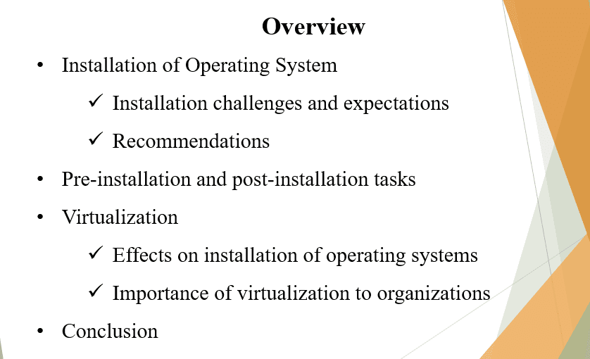 Virtualization in Organizations
