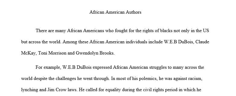 Consider the authors listed below and how they tried to express African Americans' struggles to define themselves