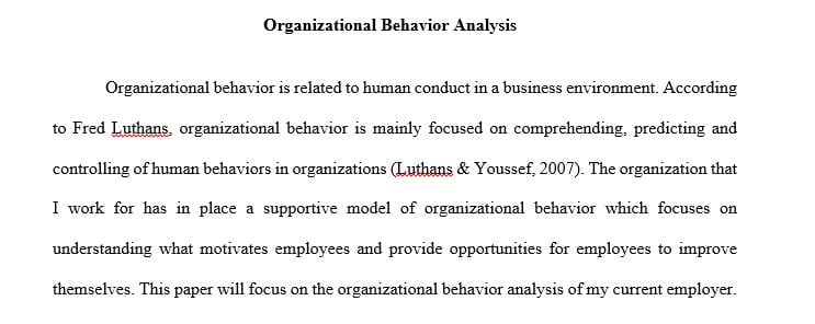 Analyze the organizational behavior of your current or former employer.