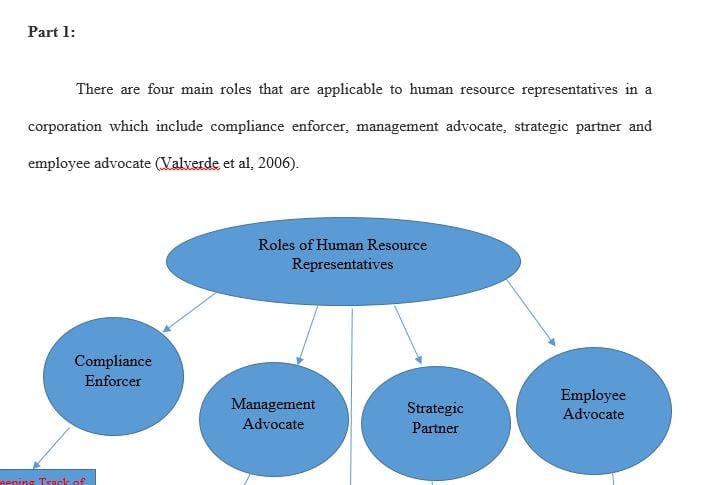 Identify four potential roles of human resources representatives within an organization.
