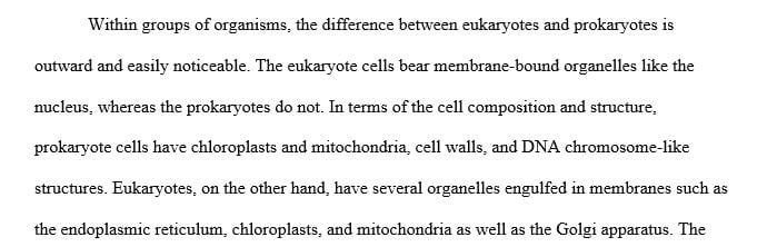 Describe the structure and function of each of the eukaryotic organelles.
