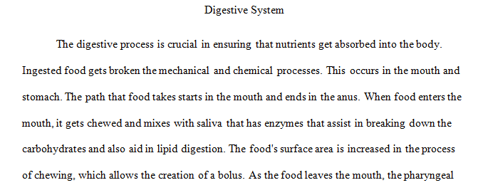 Describe the path of food through the digestive system
