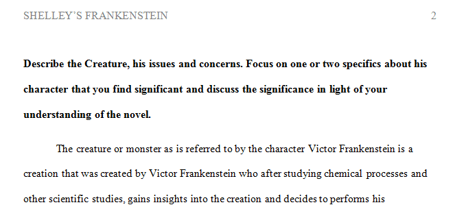 Describe Victor Frankenstein his issues and concerns