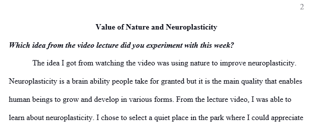 Which idea from the video lecture did you experiment with this week?