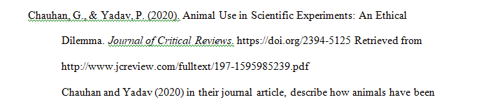 Should animals be used in researches- Ethics in Animal Testing.